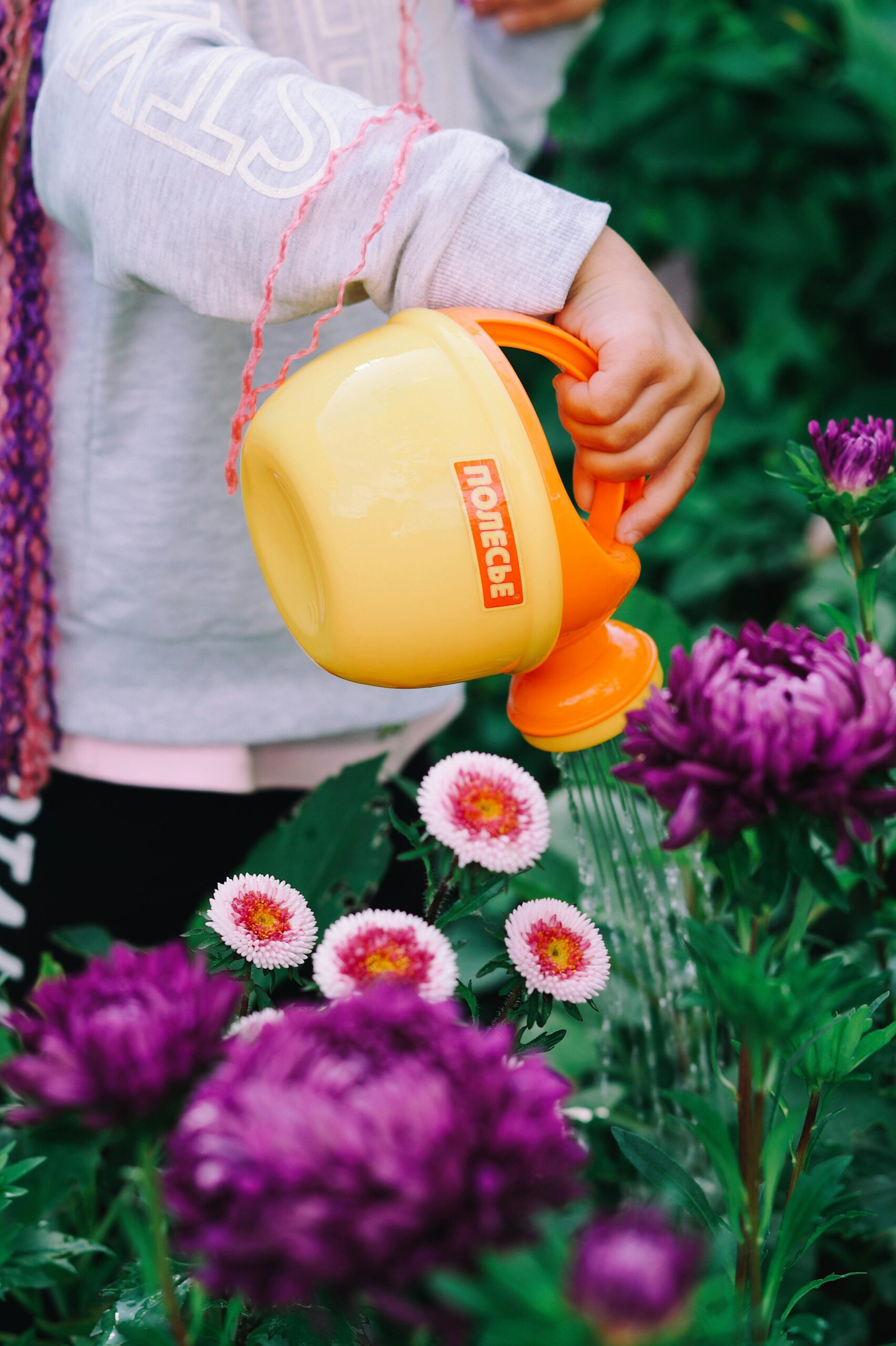 garden watering can garden watering can